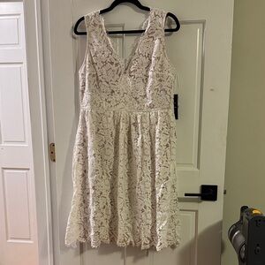 Lulu's Cream Lace V-Neck Dress